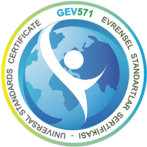 GEV571 Logo