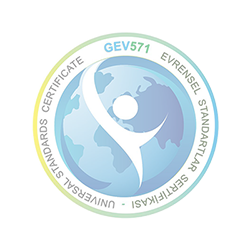 GEV Logo